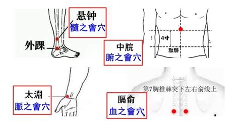 八會穴口訣|臟、腑、氣、血、筋、脈、骨、髓八大會穴的臨床應用